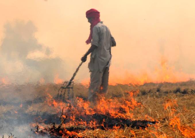 65% less crops residue burnt in Punjab during current year 