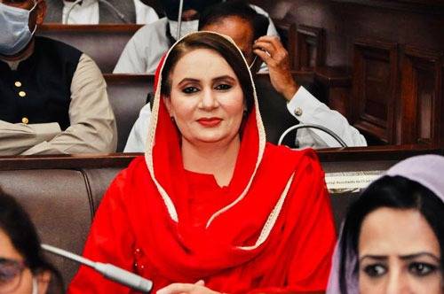 Effective mechanism, legal reforms needed to curb food price hikes: Mussarat Jamshed Cheema