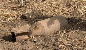 Levies defuse 100-kilogram bomb in Kalat, prevent major disaster