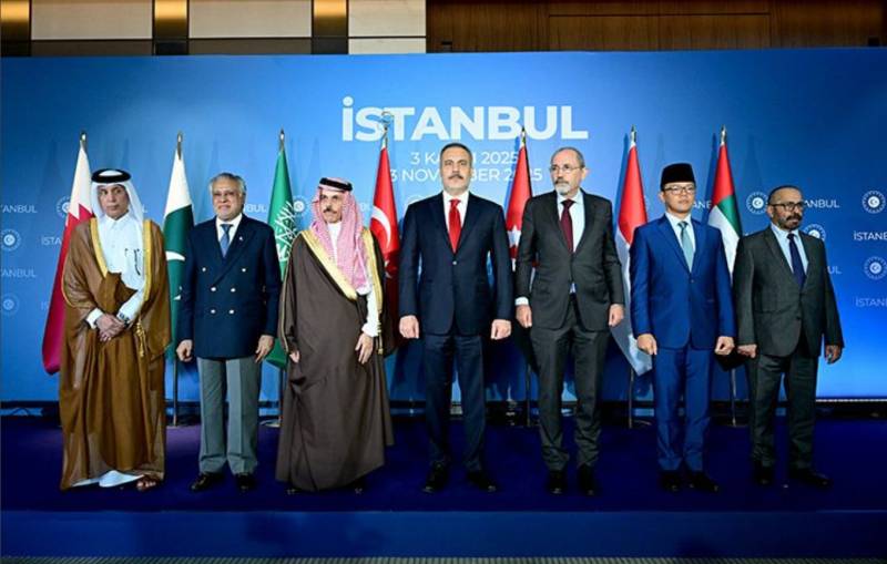 Gaza peace moot in Turkey: Diplomats of key Muslim states discuss ceasefire, humanitarian situation