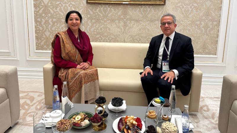 State Minister for Education Wajiha Qamar meets new UNESCO chief Khalid Al-Anani