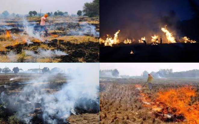 Smog intensifies: NASA detects crop residue fires in Indian Punjab