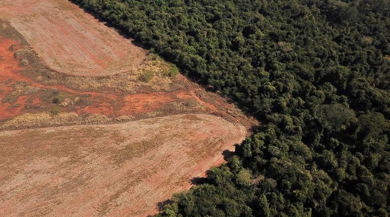 Pay to protect: Brazil pitches new forest fund at COP30