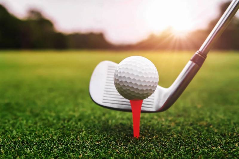 Ana James Gill shines as Royal Palm Team Trophy tees off in style 