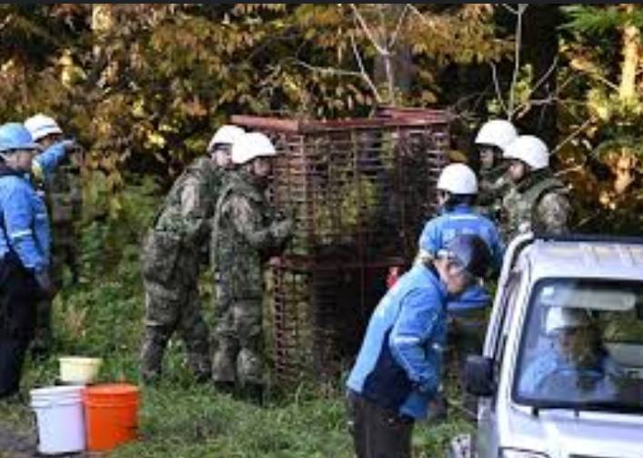 Japan to arm riot police with rifles in fight against bear attacks