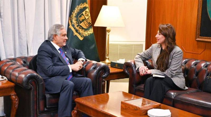 US Chargé d'Affaires Natalie Baker calls on DPM Ishaq Dar