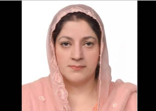 PML-N MNA Erum Hamid’s underage son remanded in road accident death case