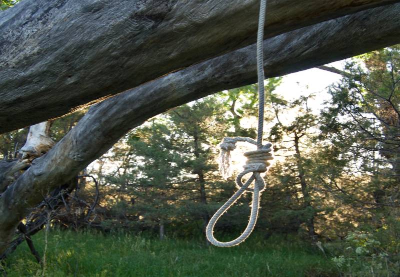 Bodies of three youngsters found hanging from tree in Tharparkar