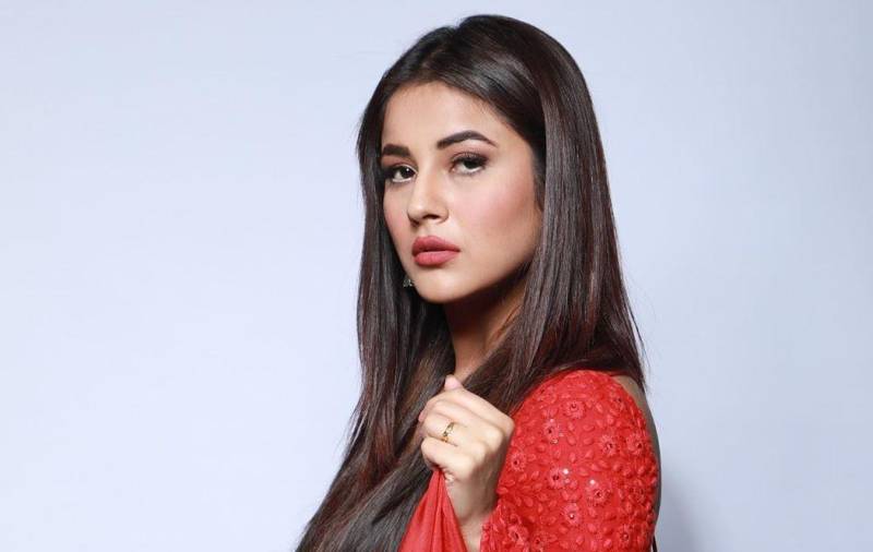 Ekk Kudi: Shehnaz Gill basking in audience love