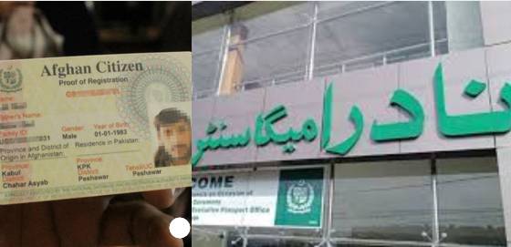 Fake documents: FIA nab 4 Afghans from NADRA Centre in Peshawar