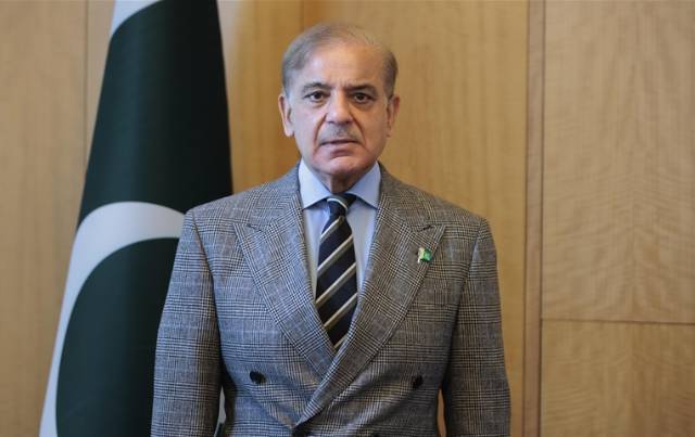 PM Shehbaz disagrees with PML-N senators on ‘immunity’ clause