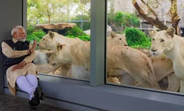 Wildlife experts urge India to halt imports for Ambani-run mega-zoo