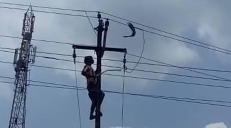 Man, who climbed electricity pole in Narowal, dies