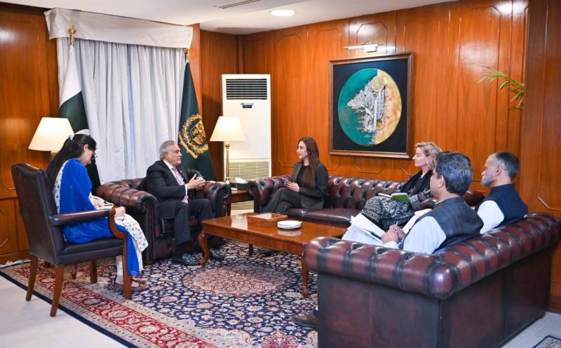 US, Pakistan discuss enhanced economic, strategic cooperation