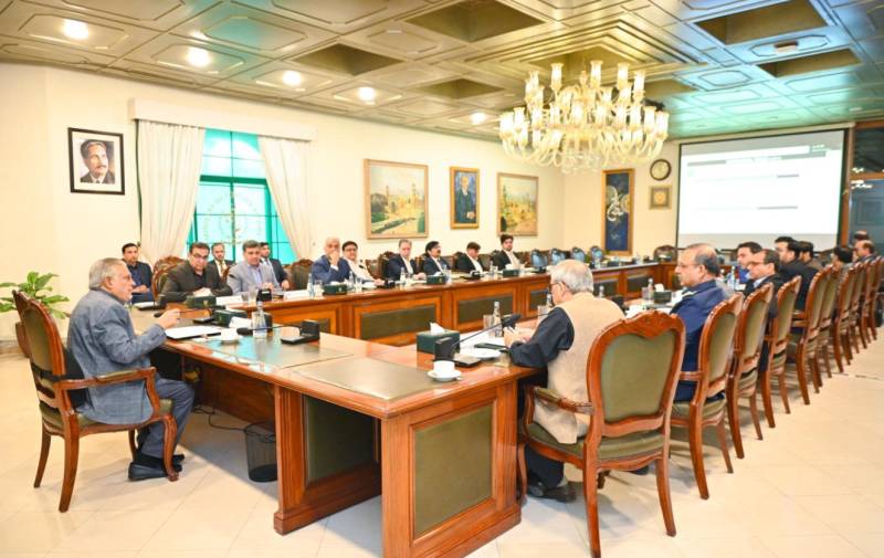 DPM reviews progress on privatization of public sector entities
