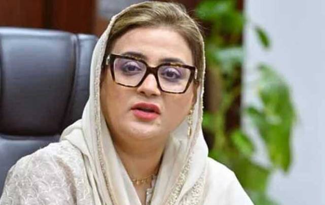 Punjab minister terms Economic report on Bushra Bibi 100% accurate