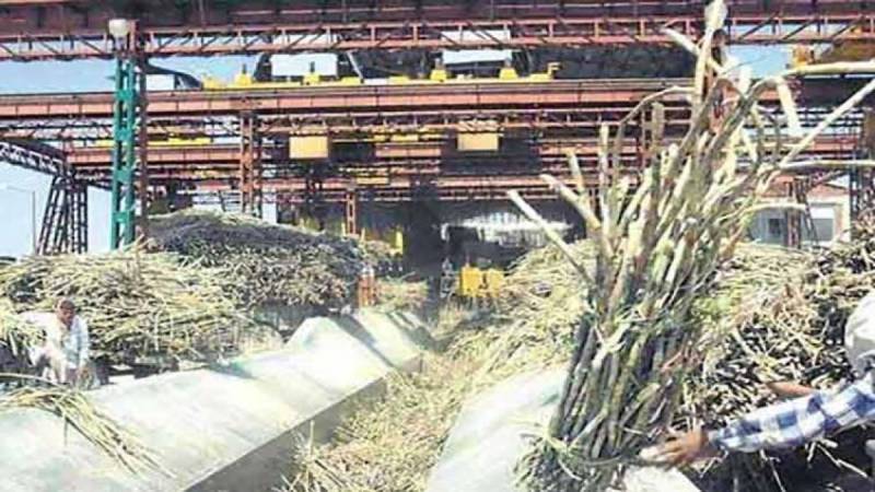 New crushing season underway as 27 Punjab mills start operations