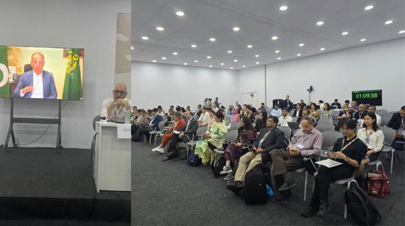 Pakistan calls for stronger global commitments to address decline of country's cryosphere