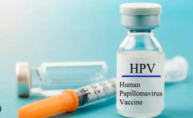 Cervical cancer vaccine push has saved 1.4 million lives: Gavi