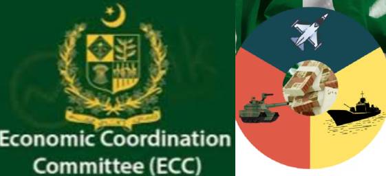 ECC approves Rs50b grant for defence sector, reforms in energy sector