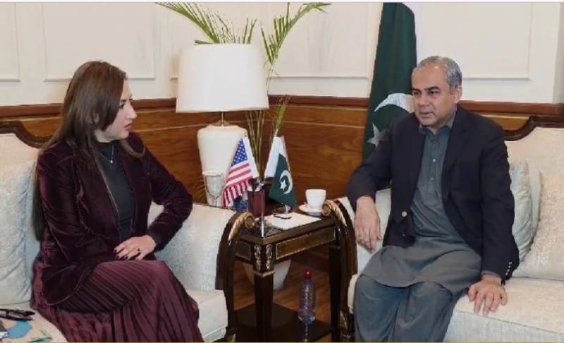 Naqvi tells US envoy talks, terrorist attacks cannot go together