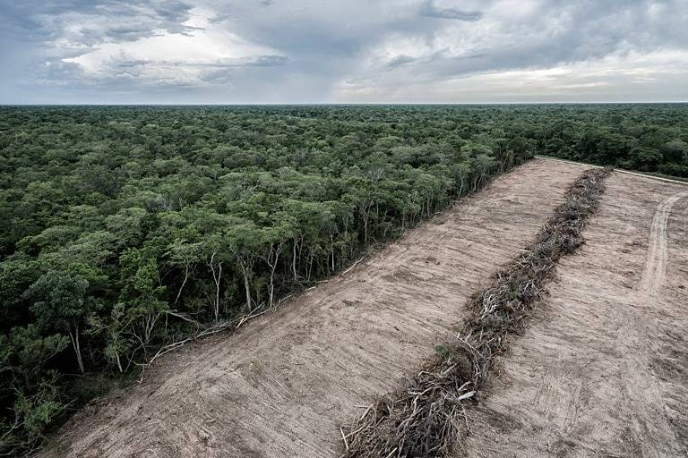 EU states back new delay to anti-deforestation rules