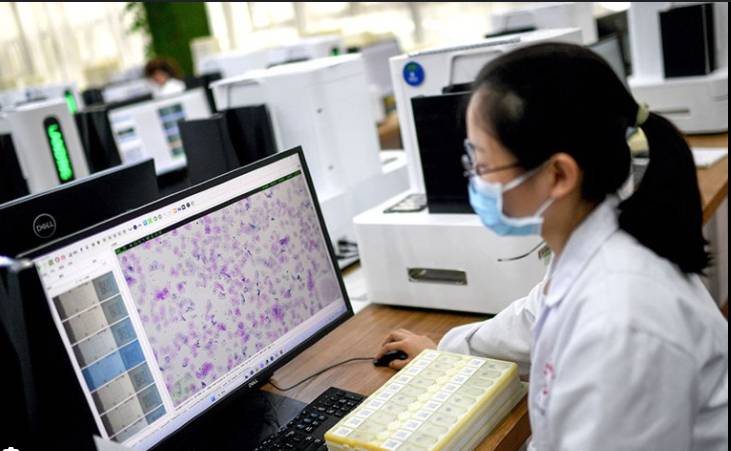 Stronger safeguards needed as AI healthcare grows, WHO Europe warns