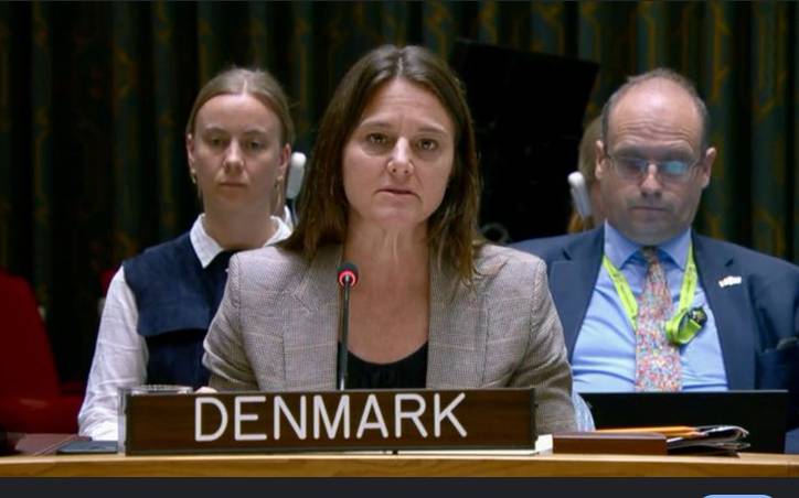 Afghan Taliban-backed TTP conducting ‘high-profile’ cross-border attacks in Pakistan: UNSC panel