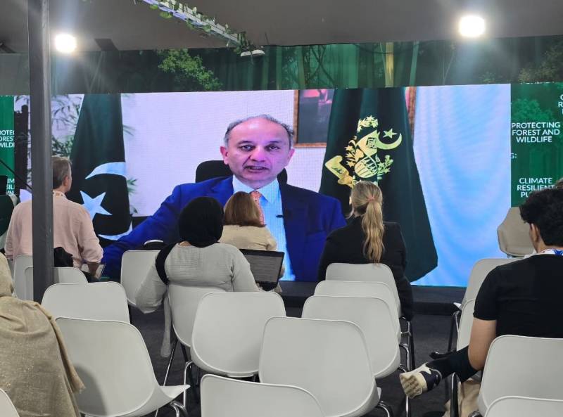 Pakistan renews call for climate finance at COP30 side events