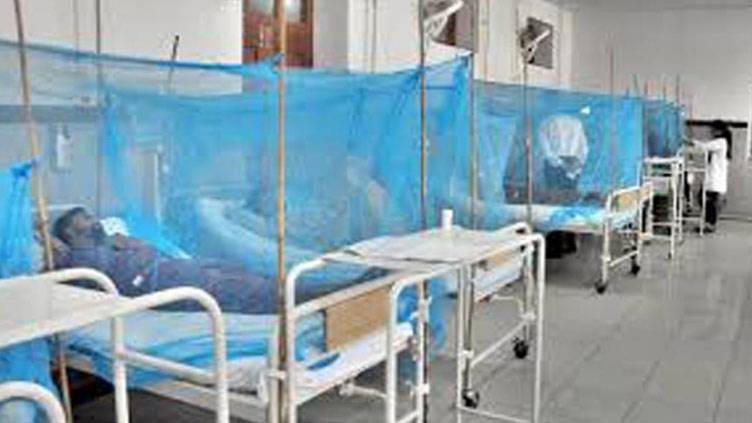 Dengue claims another life as new cases surge in Sindh