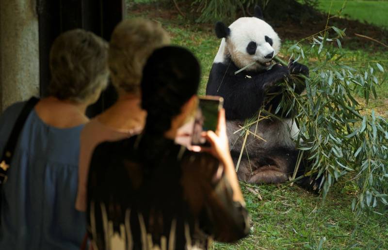 France bids farewell to beloved pandas bound for China