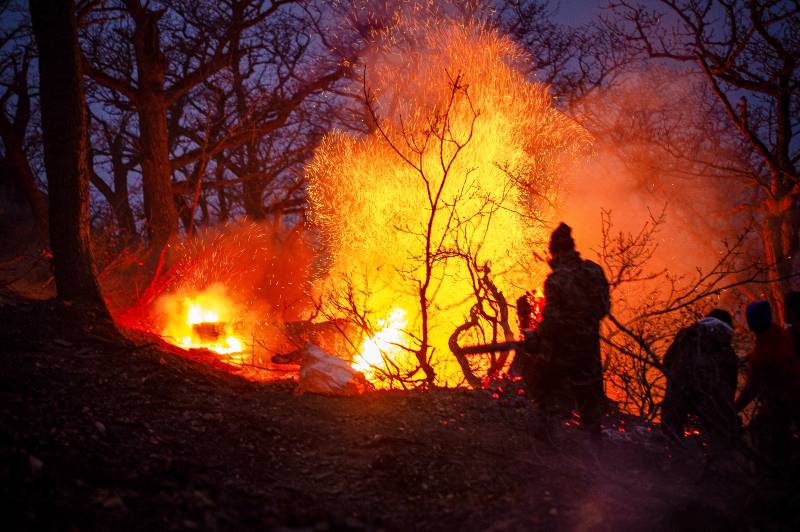 Iran bans access to most forests after fire in UNESCO-listed site