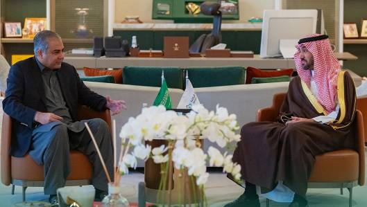 Pakistan, Saudi Arabia to boost cricket ties under Vision 2030