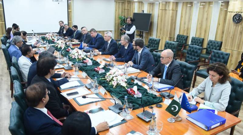 EU delegation discusses human rights, GSP+ status with Tarar