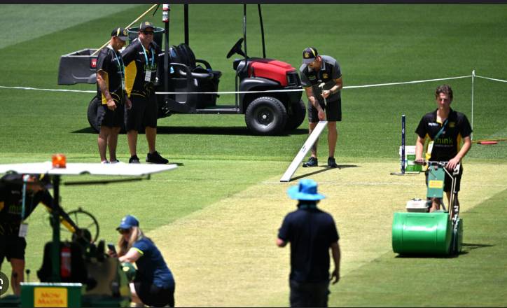 Perth's two-day Ashes Test pitch given highest possible rating