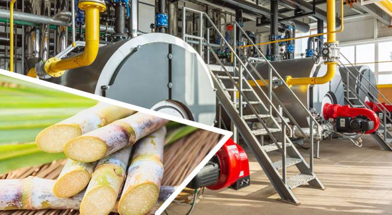 Sindh High Court rules lapsed subsidy cannot be revived for sugar mills