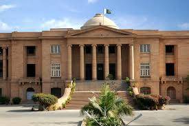 SHC constitutional bench grants 20-day protective bail to Sanam Durrani