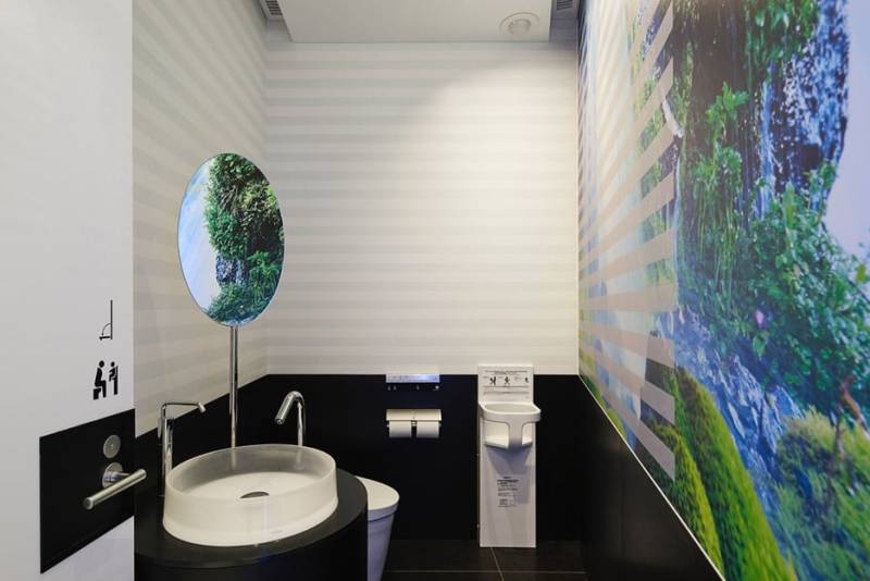 Toilet turmoil at Tokyo airport terminal