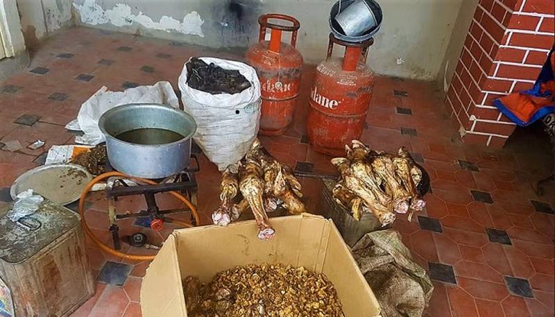 PFA arrests a man making oil from animal fat in Hafizabad