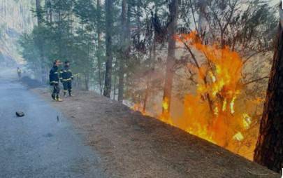 Massive forest fire ravages Abbottabad’s Dongagali Galiyat region
