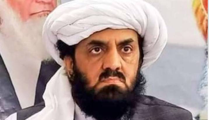 Governor's rule won’t bring peace in Khyber Pakhtunkhwa: Hafiz Hamdullah
