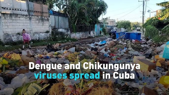Chikungunya, dengue kill 21 children in crisis-hit Cuba