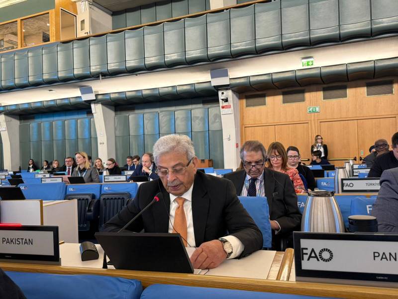 Rana Tanveer Hussain represents Pakistan at FAO council, urges ceasefire in Gaza