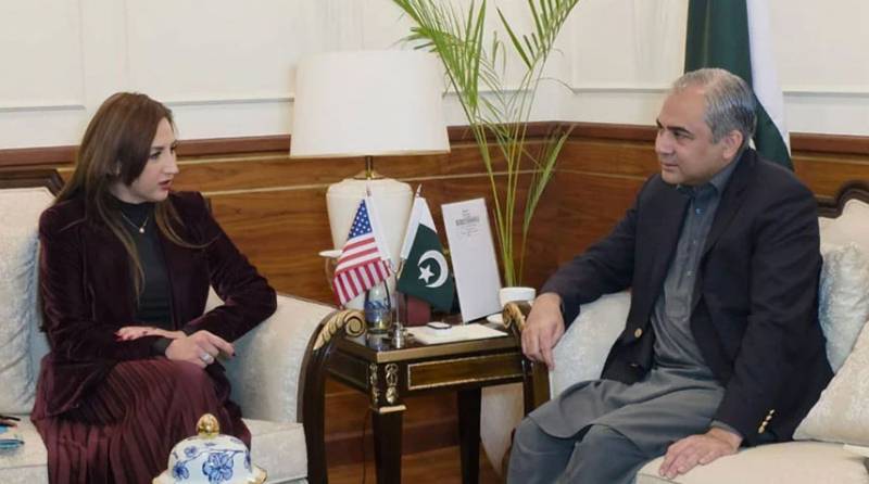  US envoy Natalie Baker calls on Naqvi, discusses cooperation on security matters