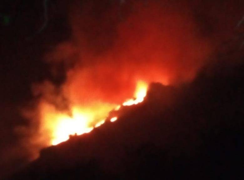 Massive forest fire erupts in Murree