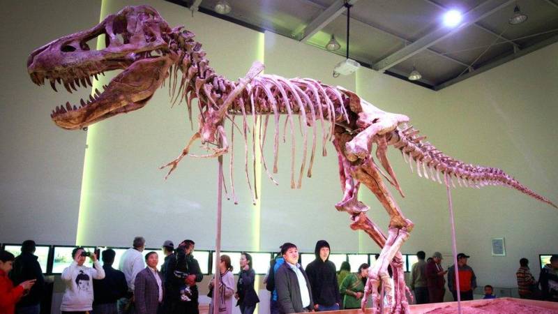 France to return smuggled dinosaur skeleton to Mongolia
