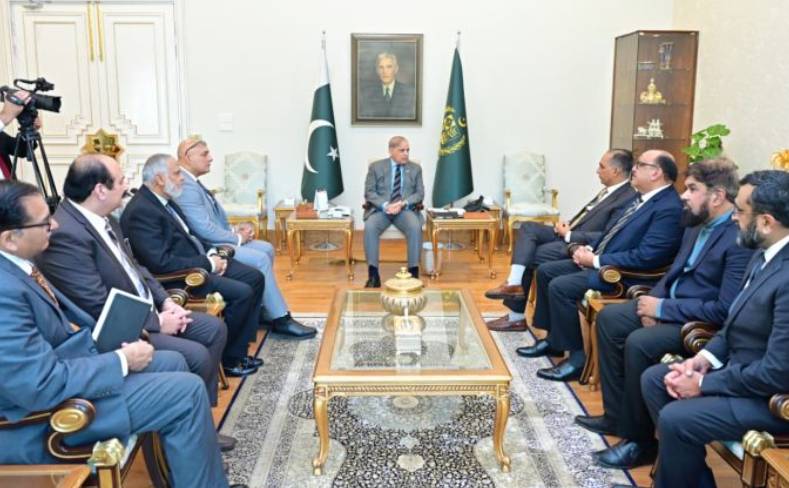 PM for facilitating investment by Pak-origin US doctors