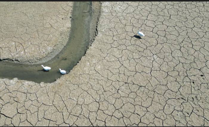 2025 on track to tie second hottest year on record: EU monitor