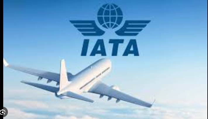 Airlines expect record passenger numbers in 2026: IATA
