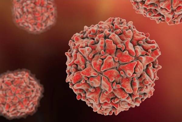 NIH confirms presence of poliovirus in Lahore 